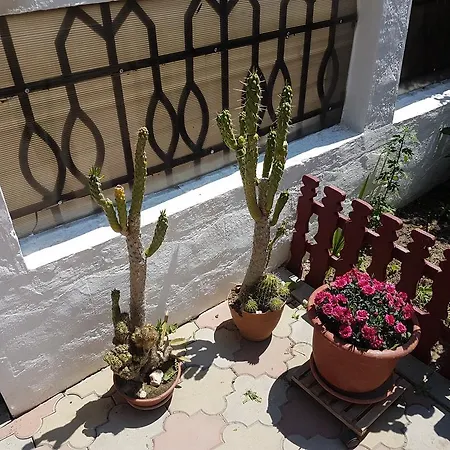 בית הארחה Paula Năvodari